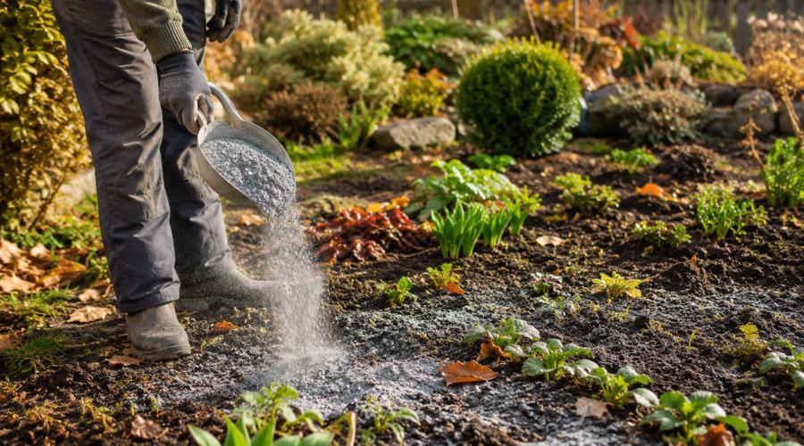 Regeneracja zmęczonej gleby po sezonie z wykorzystaniem mączki mineralnej
